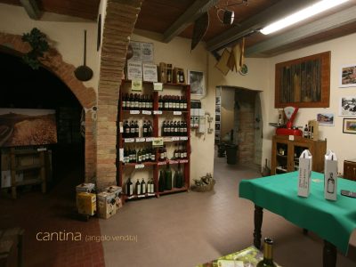 angolo-degustazione-vini.jpg