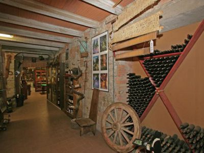 cantina-1.jpg