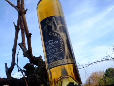 grappa-gambotorto.jpg